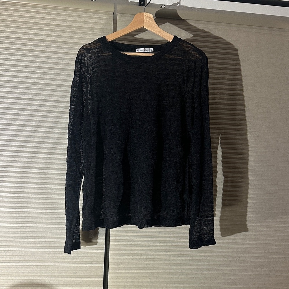 Black Sheer Long Sleeve Top